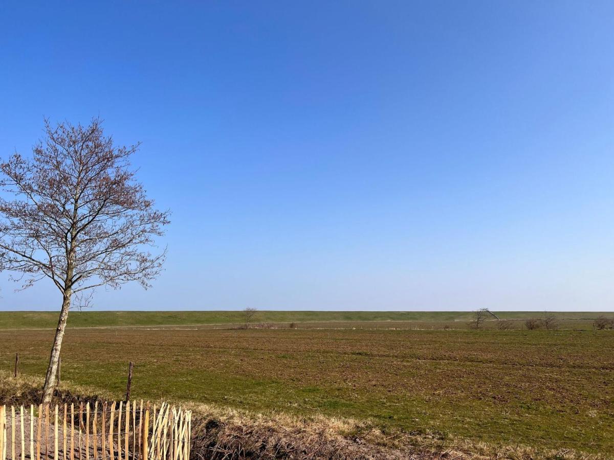 Nice Villa In Wieringer Style Near The Wadden Sea Hippolytushoef Exterior photo